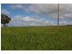 Lot 101,  Mid Western Highway, Cowra NSW 2794