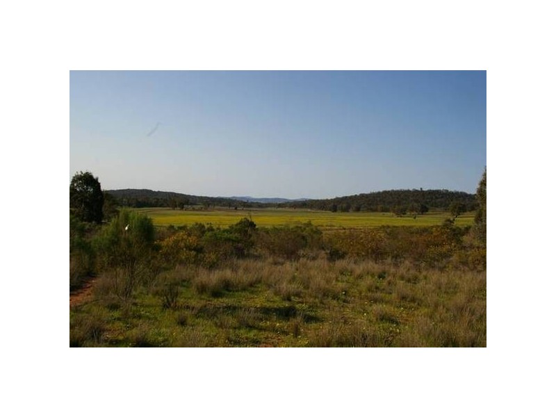 22 Kangarooby Road, Gooloogong NSW 2805
