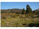 22 Kangarooby Road, Gooloogong NSW 2805