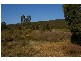 22 Kangarooby Road, Gooloogong NSW 2805