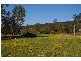 22 Kangarooby Road, Gooloogong NSW 2805