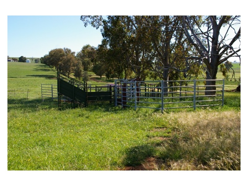 Lot 5,  Elouera Road, Cowra NSW 2794