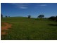 Lot 5,  Elouera Road, Cowra NSW 2794