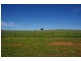 Lot 5,  Elouera Road, Cowra NSW 2794