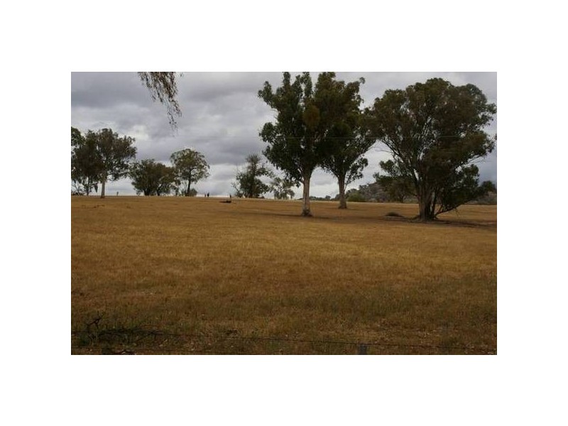 121 Bennett Springs Road, Cowra NSW 2794
