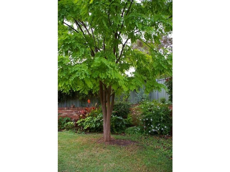 36 Nambucca Circuit, Cowra NSW 2794