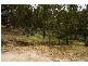 271 Horton Drive, Woodstock NSW 2793