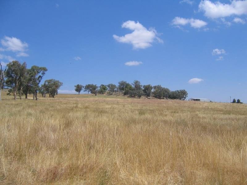 66 Milburn Creek Road, Woodstock NSW 2793