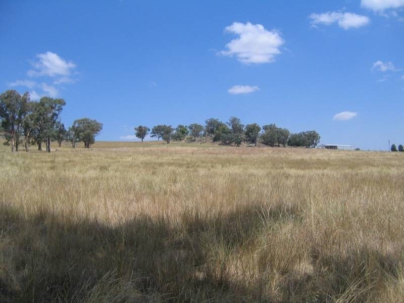 66 Milburn Creek Road, Woodstock NSW 2793