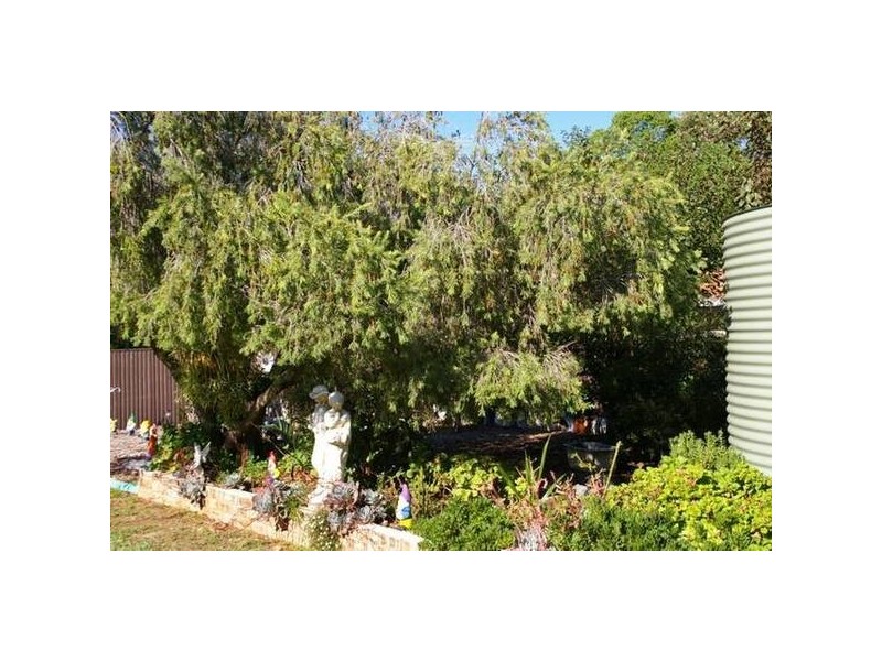 16 Flint Street, Cowra NSW 2794