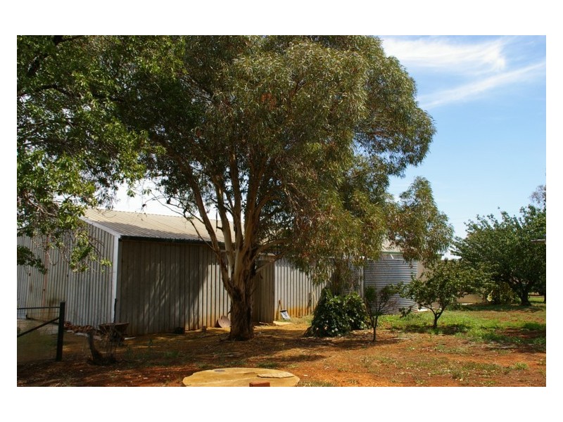 439 Porters Mount Road, Cowra NSW 2794