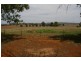 439 Porters Mount Road, Cowra NSW 2794