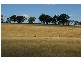 Grenfell Road, Cowra NSW 2794