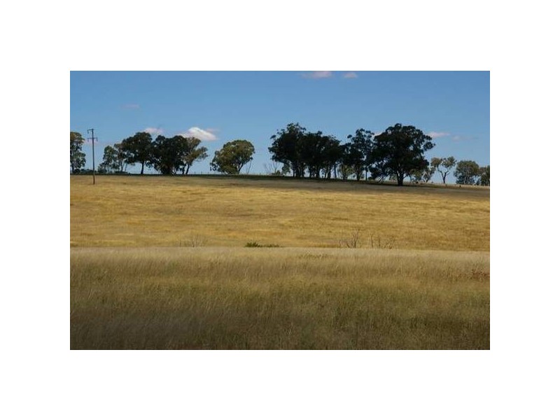 Grenfell Road, Cowra NSW 2794