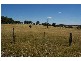 Grenfell Road, Cowra NSW 2794