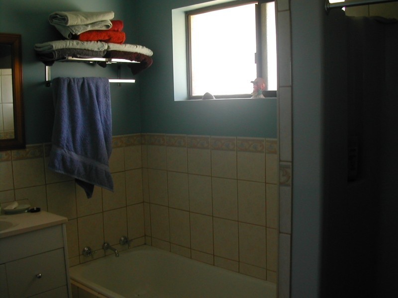 31 Red Lane, Canowindra NSW 2804