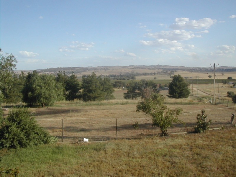 31 Red Lane, Canowindra NSW 2804