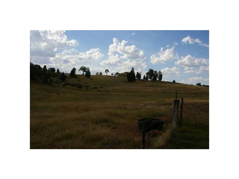 . Grenfell Road, Cowra NSW 2794