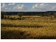 . Grenfell Road, Cowra NSW 2794