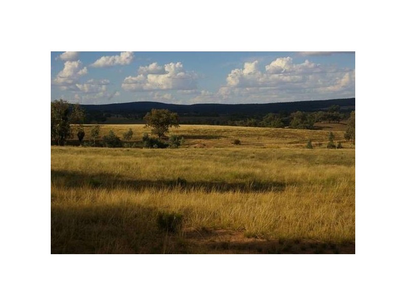 . Grenfell Road, Cowra NSW 2794