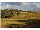 . Grenfell Road, Cowra NSW 2794