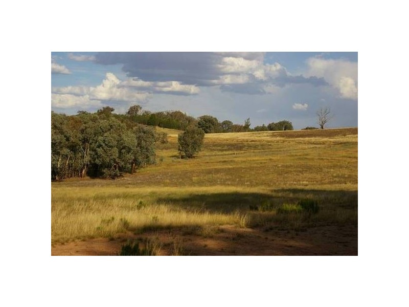 . Grenfell Road, Cowra NSW 2794