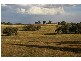 . Grenfell Road, Cowra NSW 2794