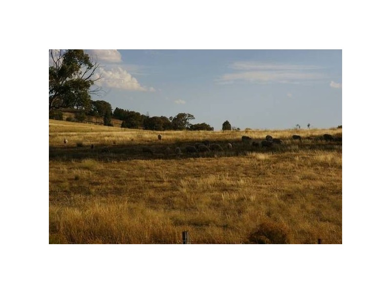 . Grenfell Road, Cowra NSW 2794