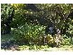 143 Doncaster Drive, Cowra NSW 2794