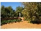 143 Doncaster Drive, Cowra NSW 2794
