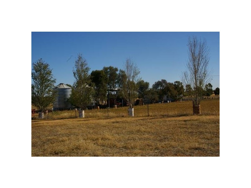 143 Doncaster Drive, Cowra NSW 2794