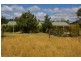 791 Kangarooby Road, Gooloogong NSW 2805