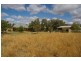 791 Kangarooby Road, Gooloogong NSW 2805