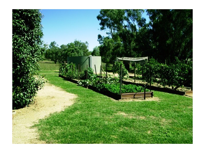 791 Kangarooby Road, Gooloogong NSW 2805