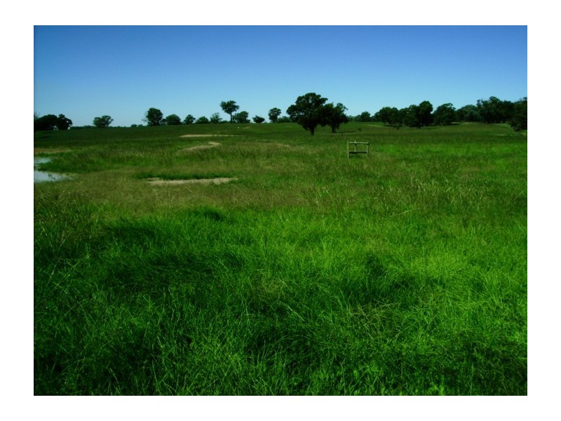 791 Kangarooby Road, Gooloogong NSW 2805