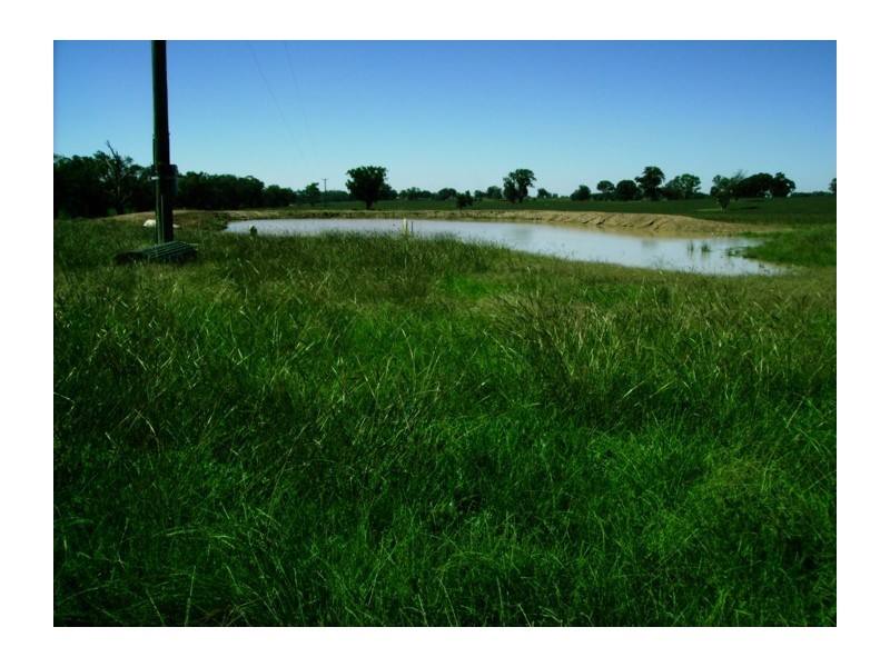 791 Kangarooby Road, Gooloogong NSW 2805