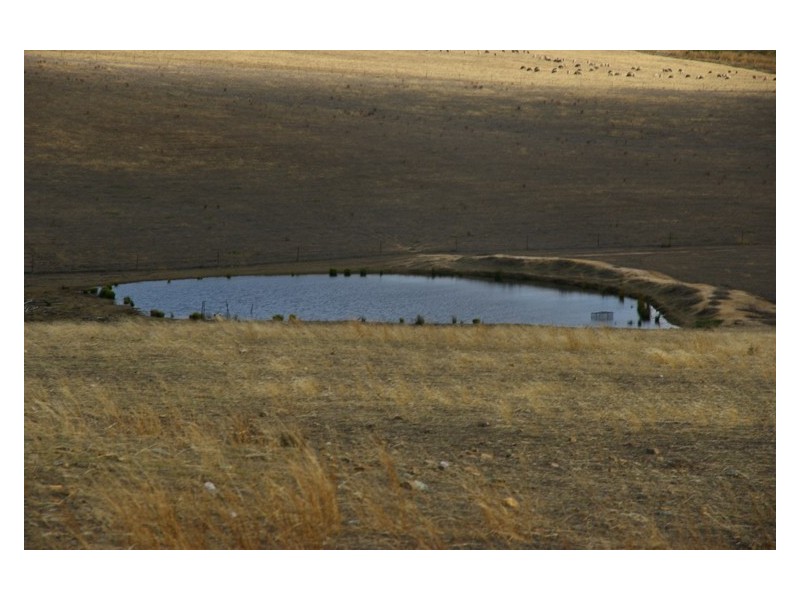 1658 Frogmore Road, Frogmore NSW 2586