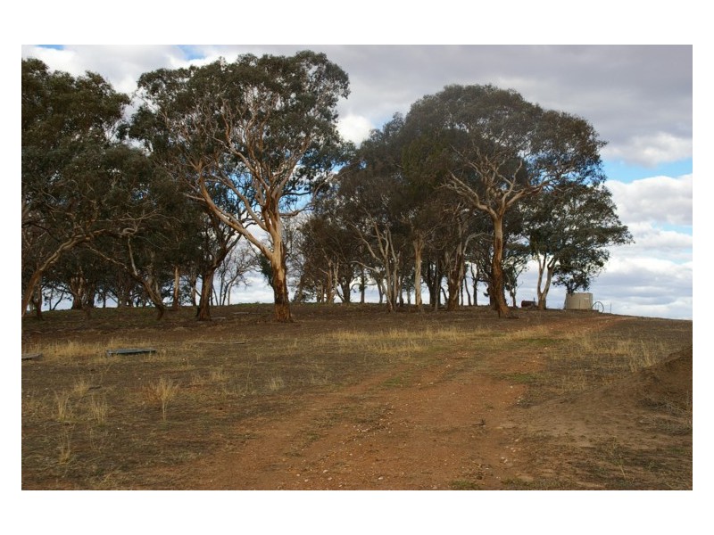 1658 Frogmore Road, Frogmore NSW 2586