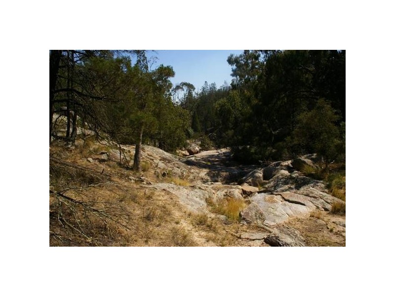 351 Horton Drive, Woodstock NSW 2793