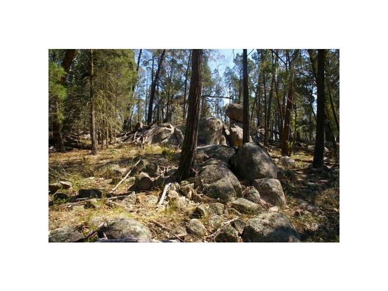 351 Horton Drive, Woodstock NSW 2793