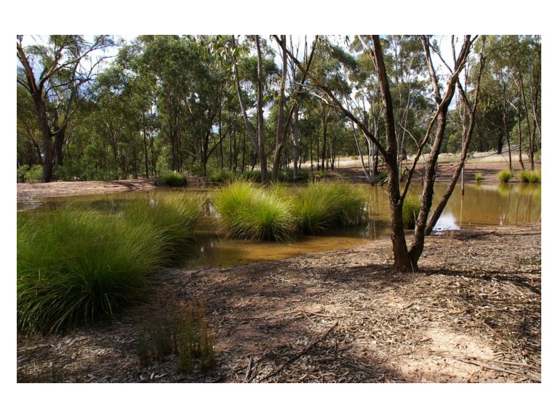 Lot 132,  Goodwins Lookout Road, Cowra NSW 2794