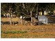 15 Battalion Drive, Cowra NSW 2794