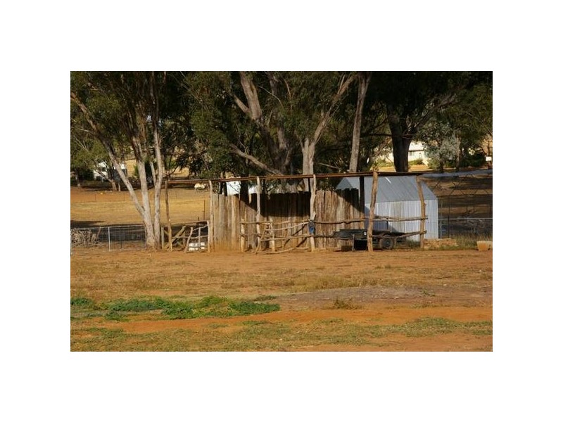 15 Battalion Drive, Cowra NSW 2794