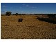 8 Taragala Street, Cowra NSW 2794