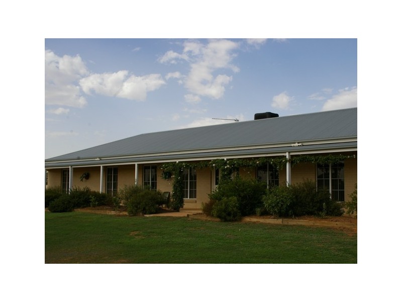 517 Darbys Falls Road, Cowra NSW 2794