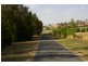 517 Darbys Falls Road, Cowra NSW 2794