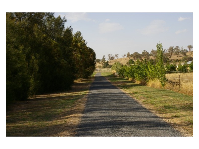 517 Darbys Falls Road, Cowra NSW 2794