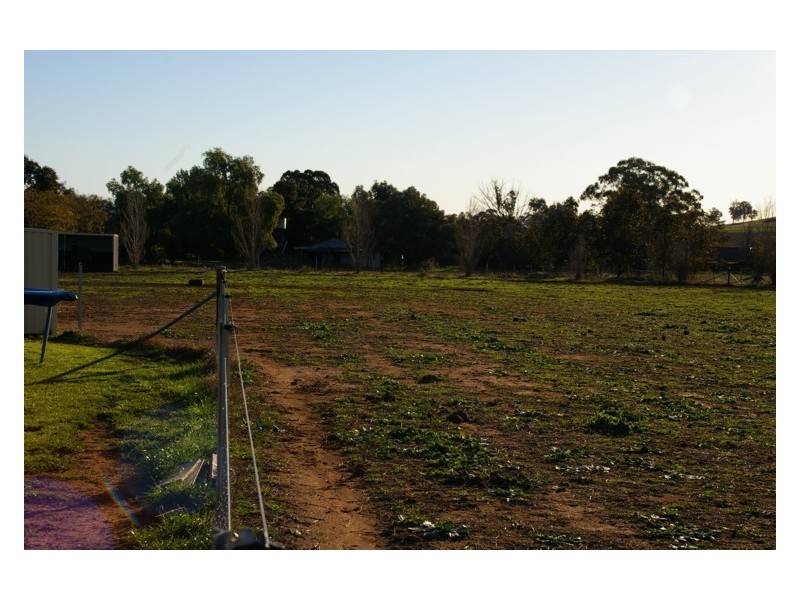 517 Darbys Falls Road, Cowra NSW 2794
