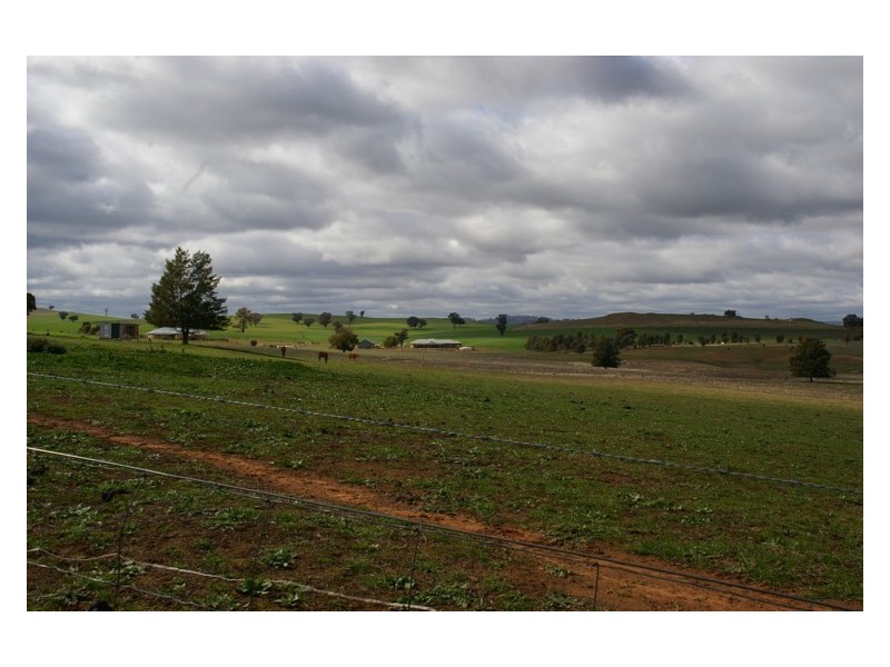 Lot 122,  Willowvale Road, Cowra NSW 2794