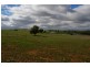 Lot 122,  Willowvale Road, Cowra NSW 2794